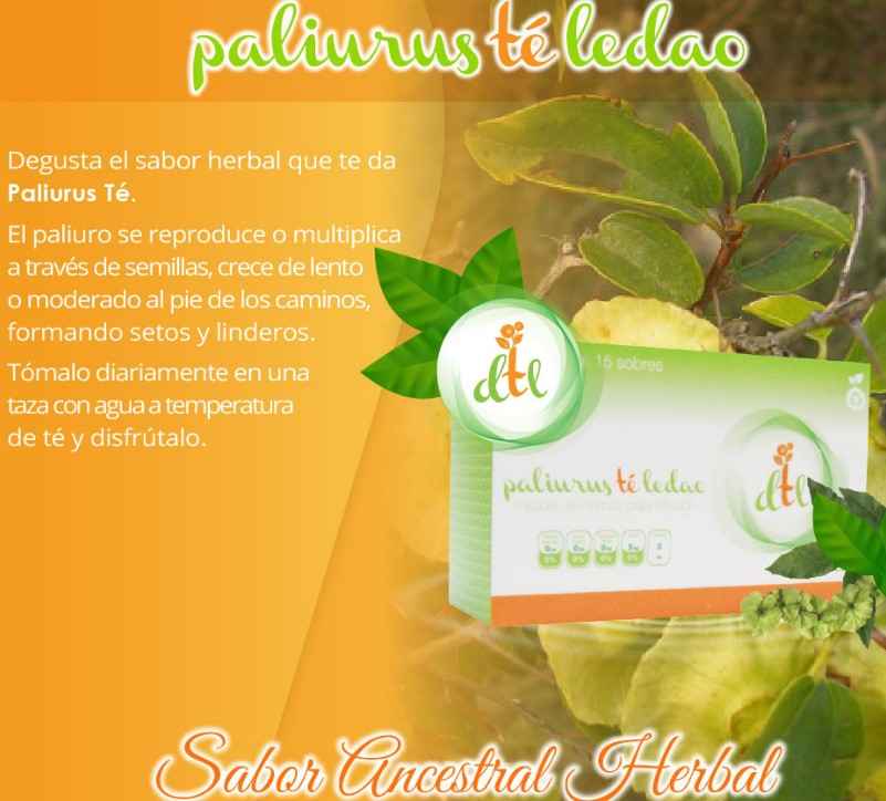 Desechables para Spa