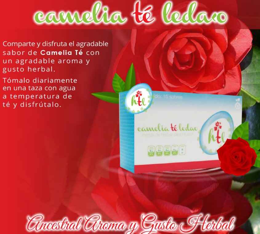 Desechables para Spa