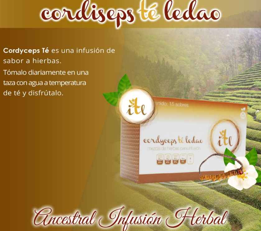 Desechables para Spa