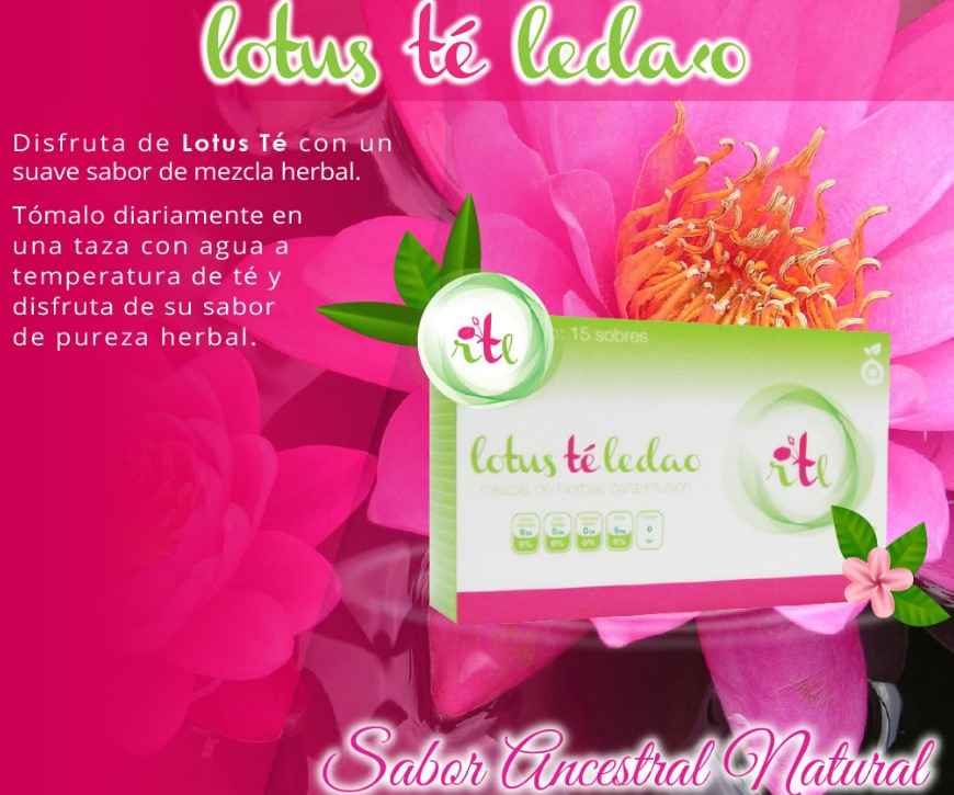 Desechables para  Spa
